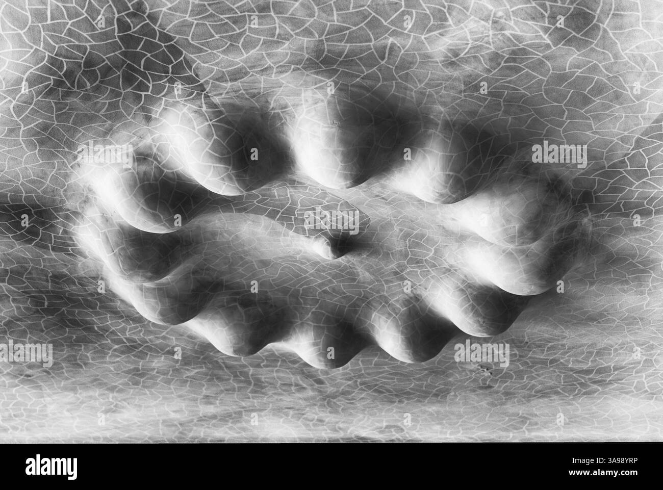 BARCELLONA - 9 AGOSTO: Dettaglio del soffitto all'interno di Casa Batllo, rinomato edificio progettato da Antoni Gaudí e simbolo di Barcellona, Catalogna Foto Stock