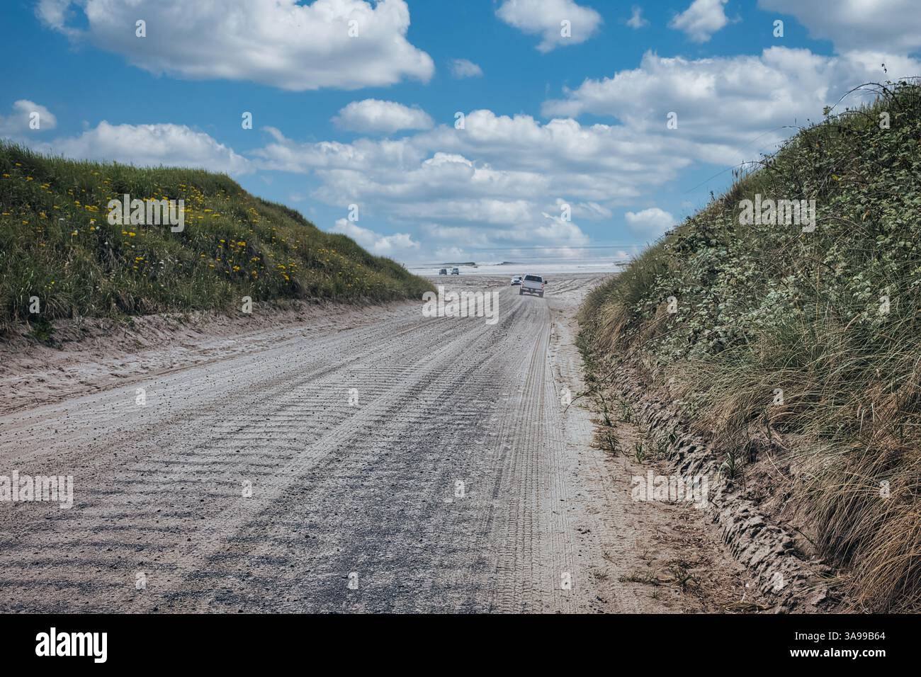 Una strada di sabbia circondata da dune sulla costa oceanica dell'Oregon USA in una soleggiata giornata estiva. Tracce di pneumatici sulla sabbia che conducono alla spiaggia. Traccia delle ruote Foto Stock