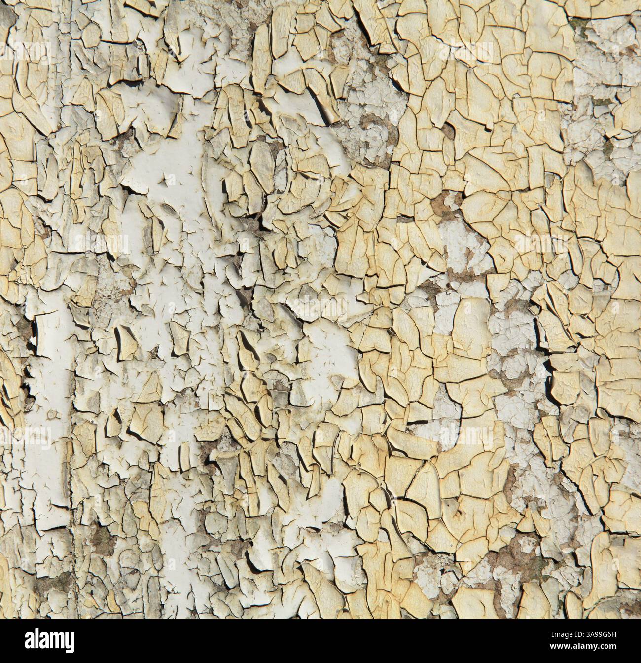 Vecchia superficie e fondo di fibre sintetiche (epossidiche o di gomma). Fibra intrecciata da massa plastica. Rivestimento artificiale e imitazione del tessuto Foto Stock
