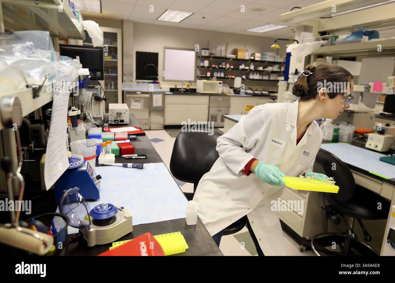 12 ottobre 2017 - St. Louis, MO, USA - Berenice Bastien, scienziata di laboratorio associata presso il centro di ricerca Nestle Purina, esegue protocolli di estrazione del DNA venerdì 13 ottobre 2017 nel laboratorio di ricerca e sviluppo presso la sede di St. Louis. Negli ultimi anni Nestle Purina ha aumentato la sua scienza della nutrizione molecolare per sviluppare alimenti per animali domestici che migliorano il benessere fisico e mentale degli animali. (Immagine di credito: © Christian Gooden/TNS via ZUMA Wire) Foto Stock