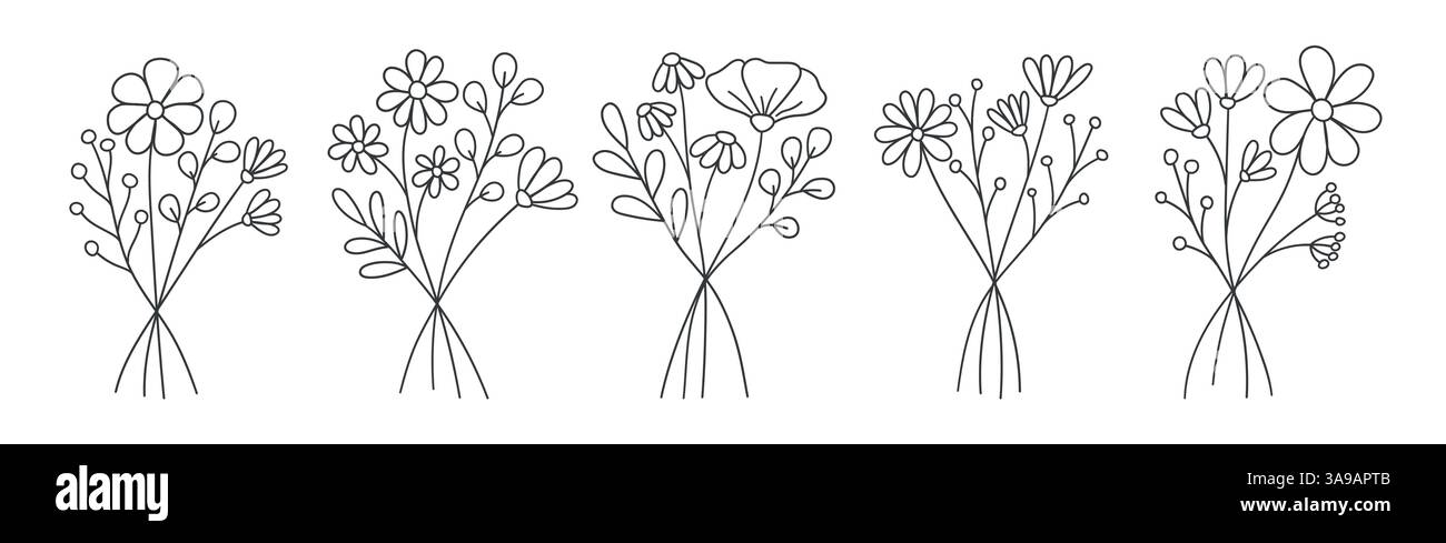 set di disegnare a mano il bouquet di fiori selvatici, elementi botanici, set vettoriale di fiori di linea, fiori selvatici minimalisti alla moda Illustrazione Vettoriale