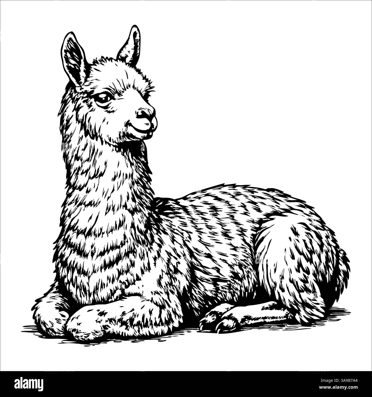 Un disegno in bianco e nero di un lama che si posa Illustrazione Vettoriale