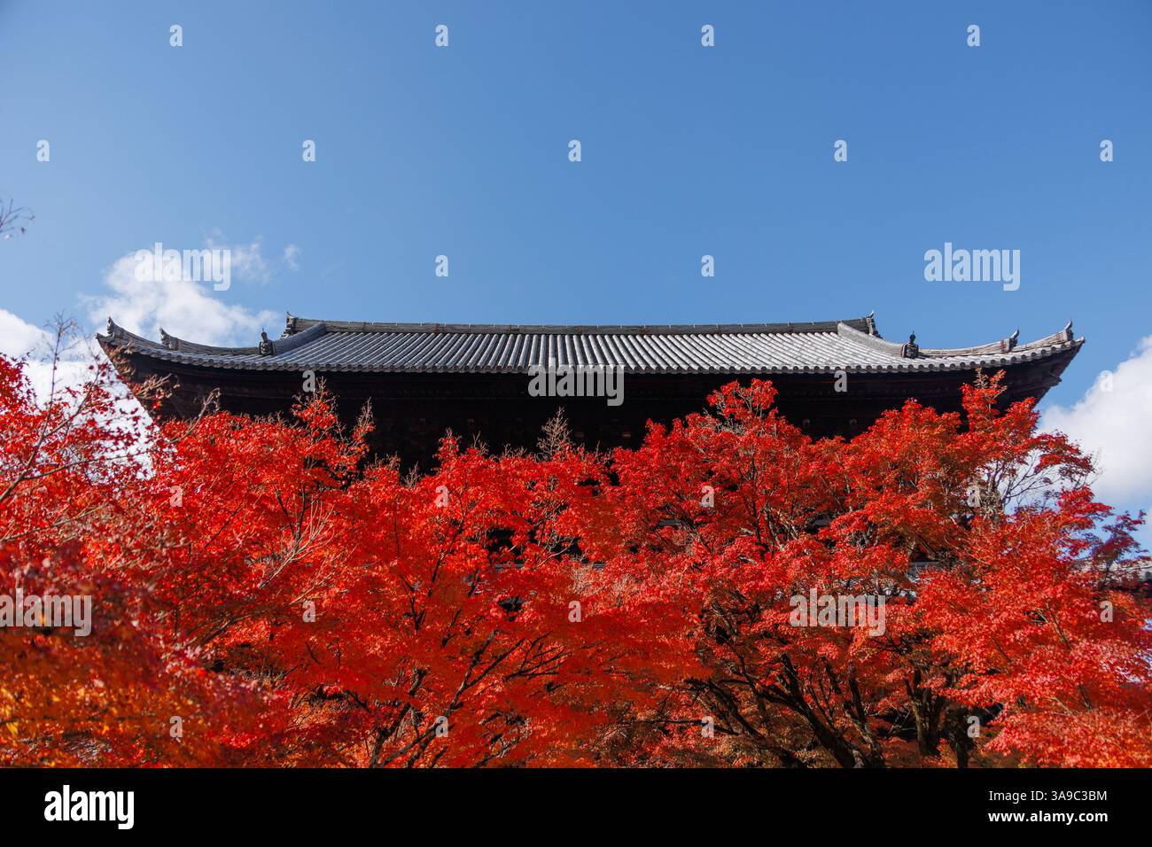 Splendido tetto del tempio nel paesaggio autunnale. Fogliame colorato in autunno. Stagione delle foglie d'acero in caduta. Giallo arancio rosso acero foglie autunno a Kyoto Japa Foto Stock