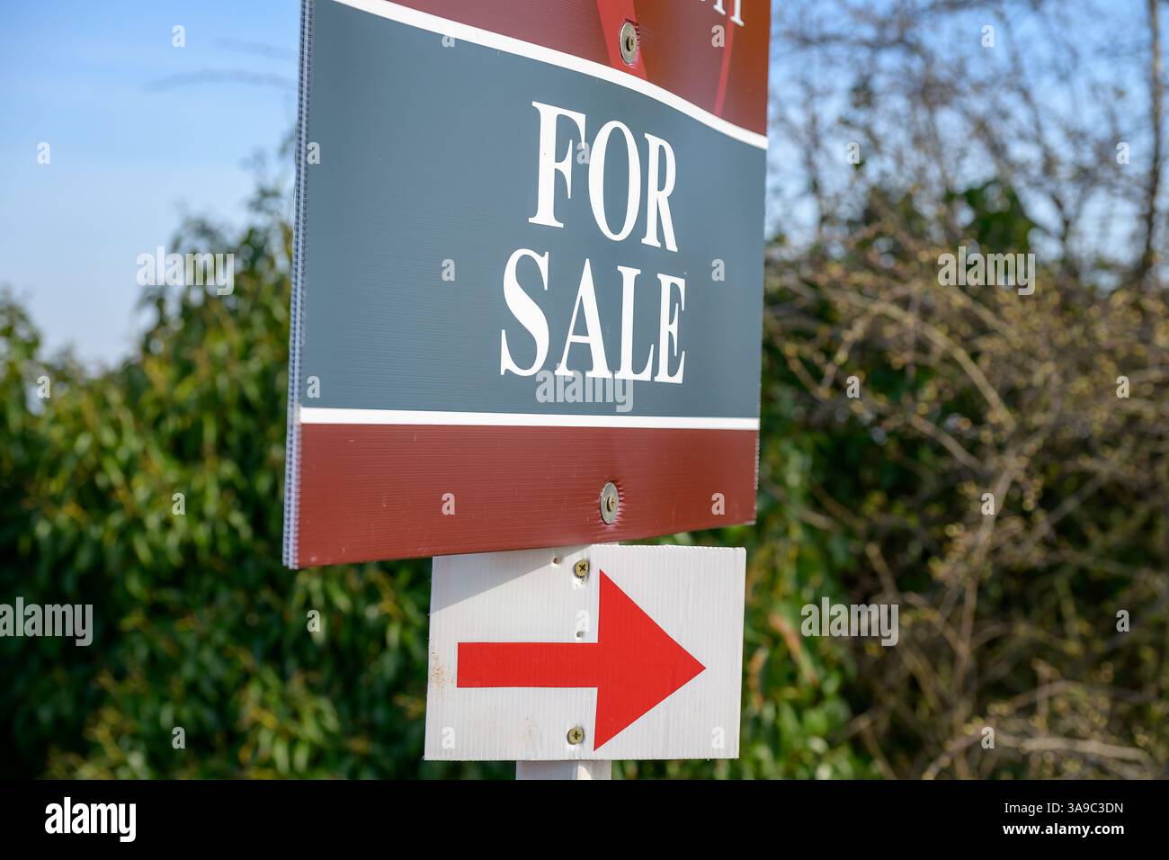 Cartello per la vendita con una freccia rossa, posizionato all'esterno che punta verso la proprietà. Casa in vendita, in vendita scheda Foto Stock
