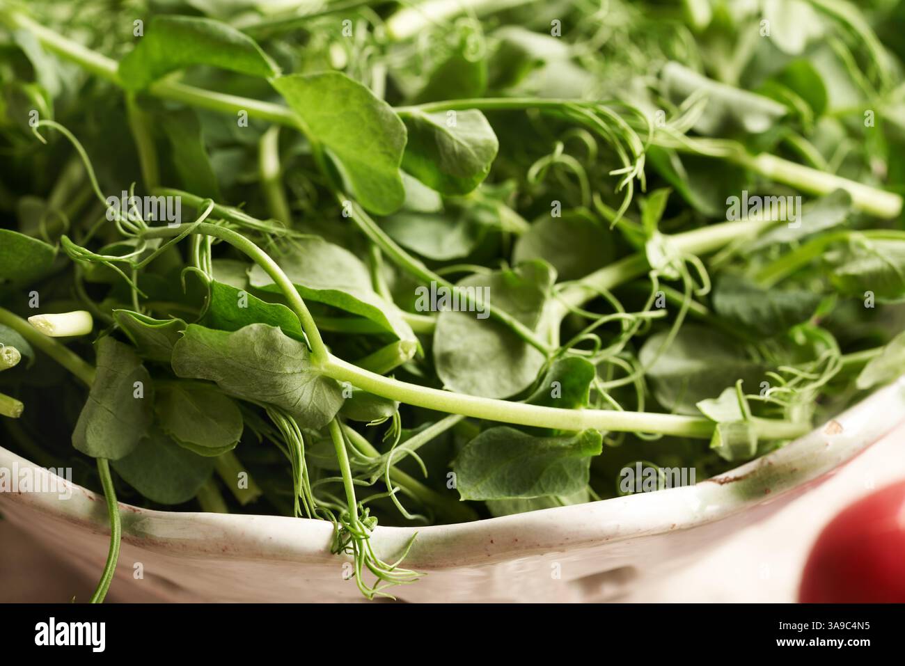Germogli di pisello freschi o microgreen in un recipiente bianco, primo piano Foto Stock