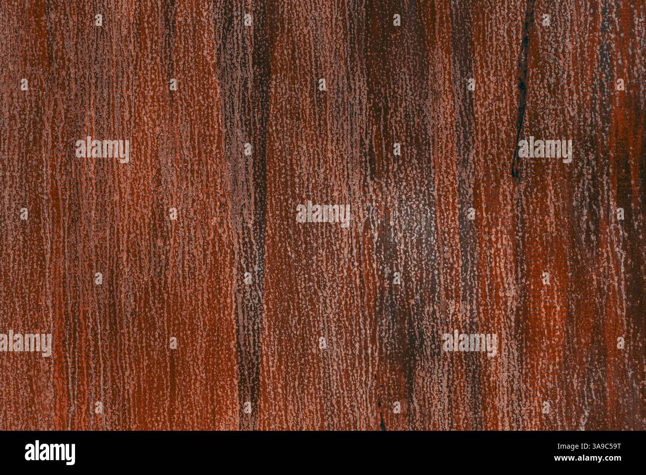 dettagli elevati di texture in metallo grunge arrugginito, ruggine e fondo in metallo ossidato, striscione. Vecchio pannello di ferro metallico Foto Stock