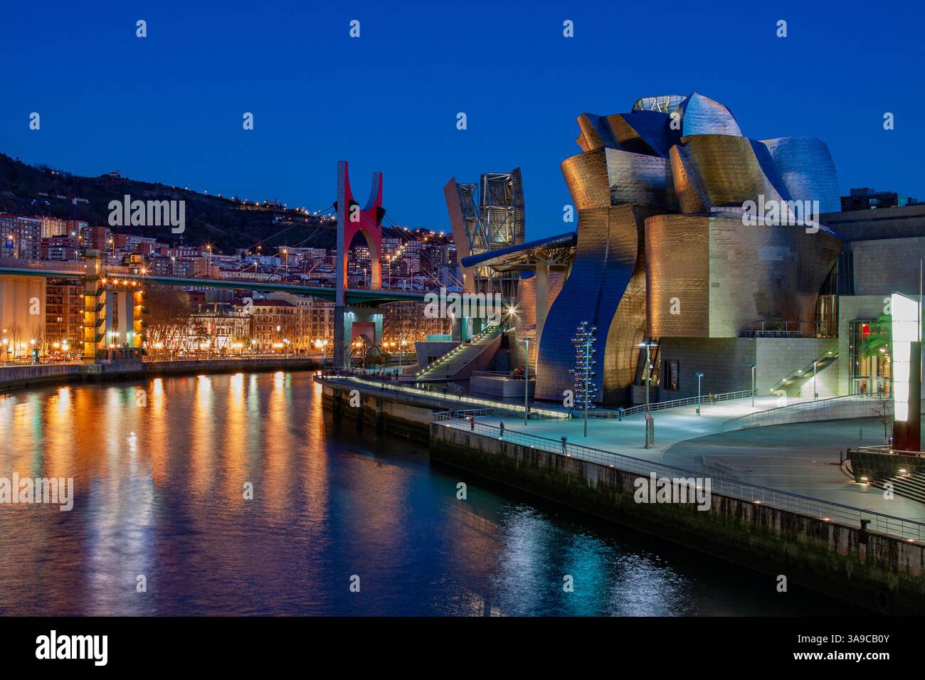 Vista notturna del museo Guggenheim sull'estuario del fiume Nervion. Bilbao, Spagna Foto Stock