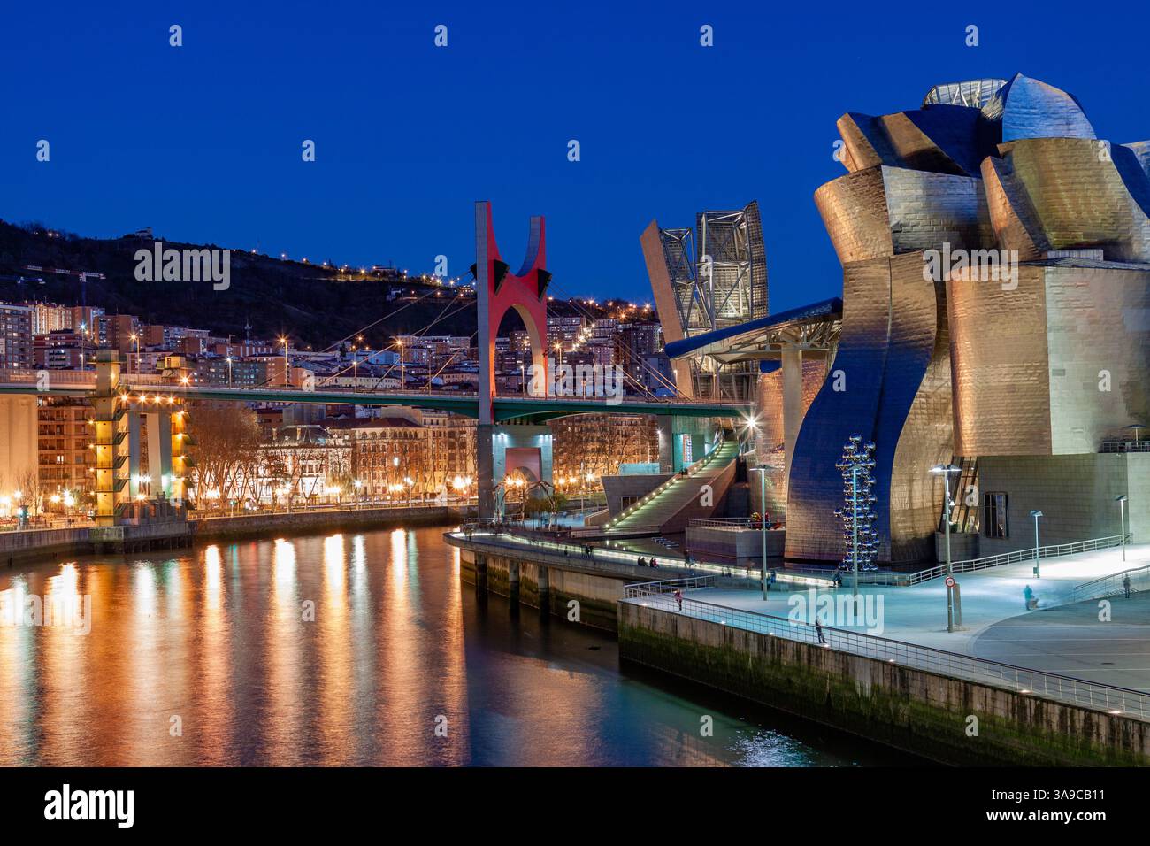 Vista notturna del museo Guggenheim sull'estuario del fiume Nervion. Bilbao, Spagna Foto Stock