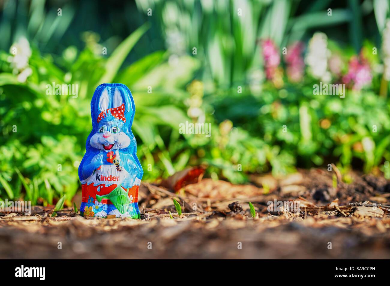 Stoccarda, Germania - 30 marzo 2025: 1 coniglietto pasquale blu di cioccolato per bambini avvolto in un foglio blu con un arco a pois rosso, in piedi all'aperto su S. Foto Stock