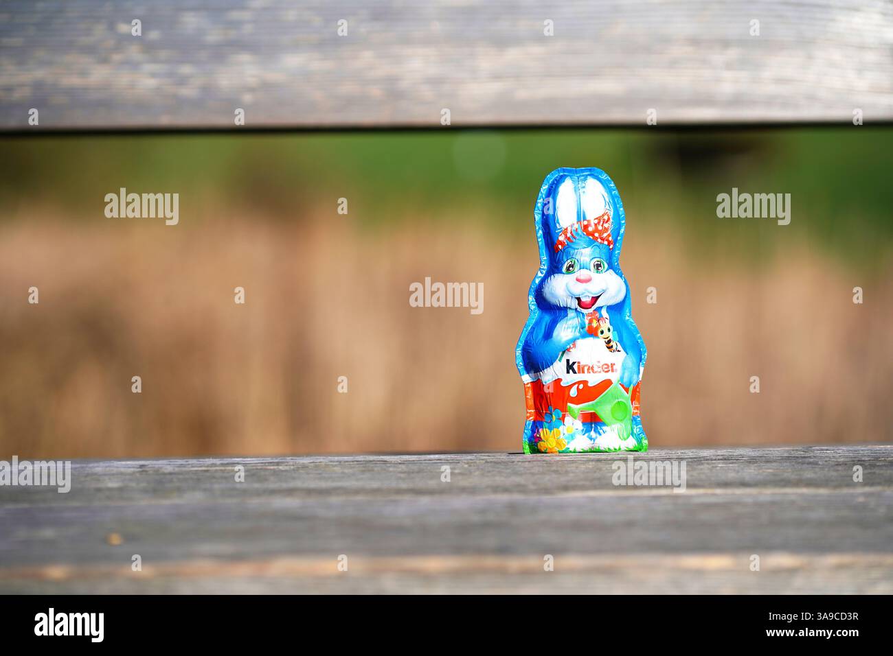 Stoccarda, Germania - 30 marzo 2025: 1 coniglietto pasquale blu di cioccolato per bambini (Kinder Schokolade), siede su una superficie di legno con una ba verde sfocata Foto Stock