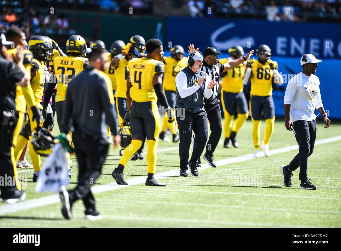 Arlington, Texas, Stati Uniti. 29 marzo 2025. I giocatori e lo staff degli allenatori del S.A. tifo dopo il #28 DB Corey Mayfield Jr. Intercettò il passaggio di Renegades Perez nel secondo quarto, primo turnover della partita. (Credit Image: © James Leyva/ZUMA Press Wire) SOLO PER USO EDITORIALE! Non per USO commerciale! Foto Stock