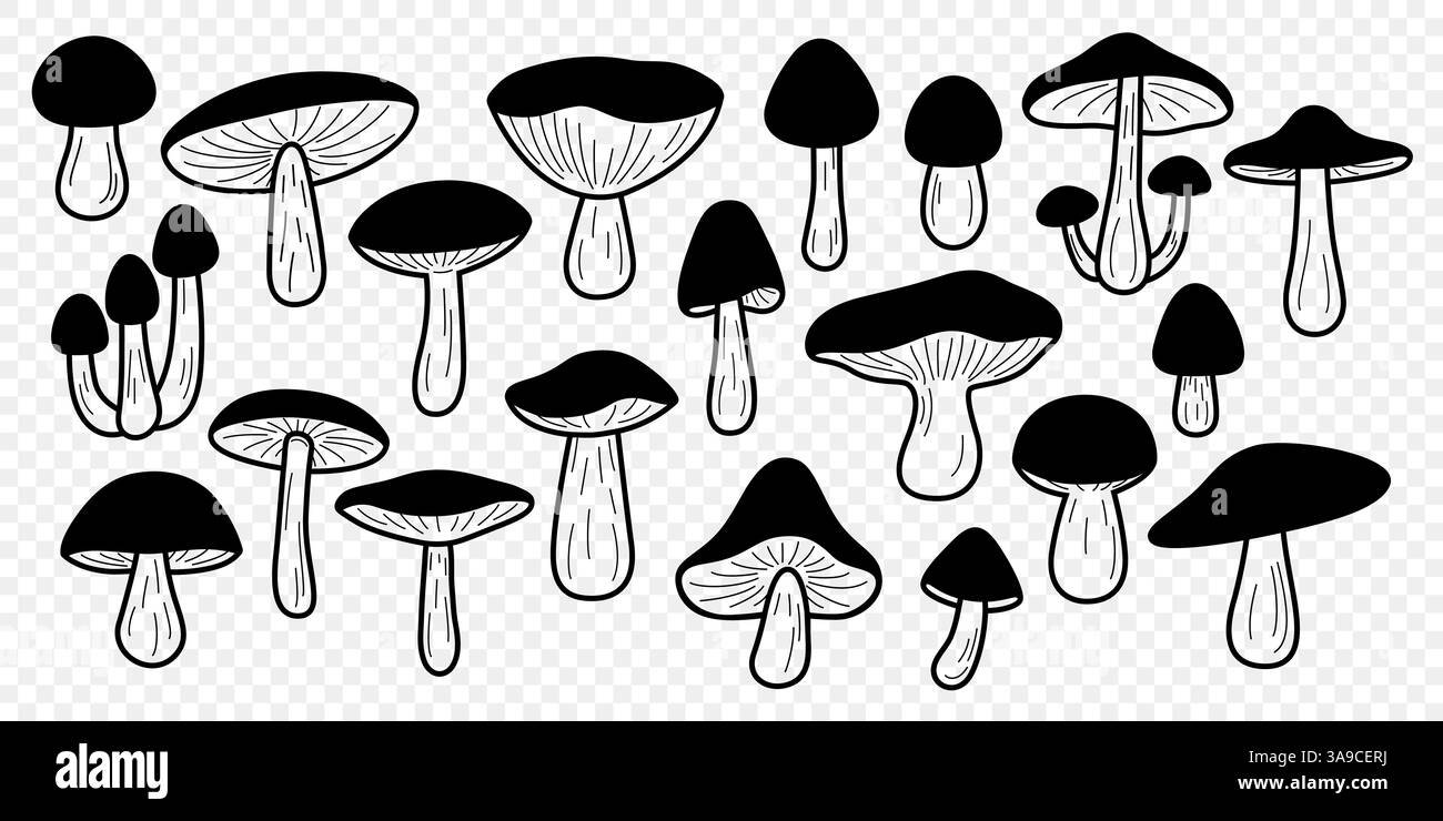 Set vettoriale Art a funghi Wild Black and White Line. Collezione di funghi della foresta disegnati a mano. Porcini, Bay Bolete, Birch Bolete, Set di icone di funghi Re Illustrazione Vettoriale
