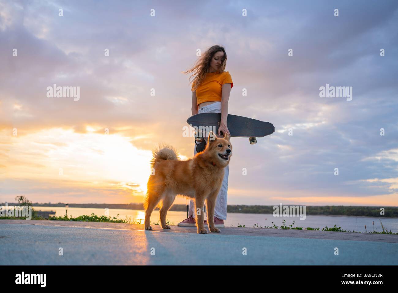 Una giovane donna dai capelli lunghi che indossa una t-shirt gialla e pantaloni bianchi, che tiene uno skateboard accanto al suo cane careliano vicino al fiume al tramonto, crea una scena serena Foto Stock