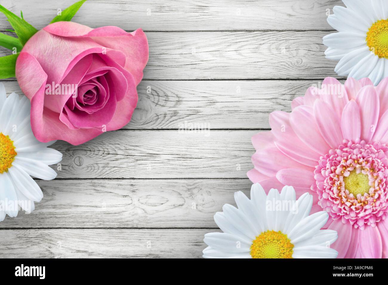Fiori rosa su sfondo di legno Foto Stock