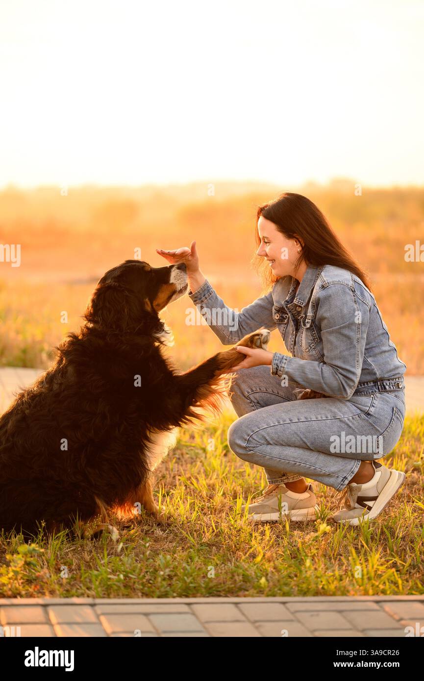 Donna addestra il cane da montagna Bernese al tramonto, accarezza il cane per buona condotta, l'animale dà la zampa al suo proprietario. Il cane segue i comandi del treno professionale Foto Stock