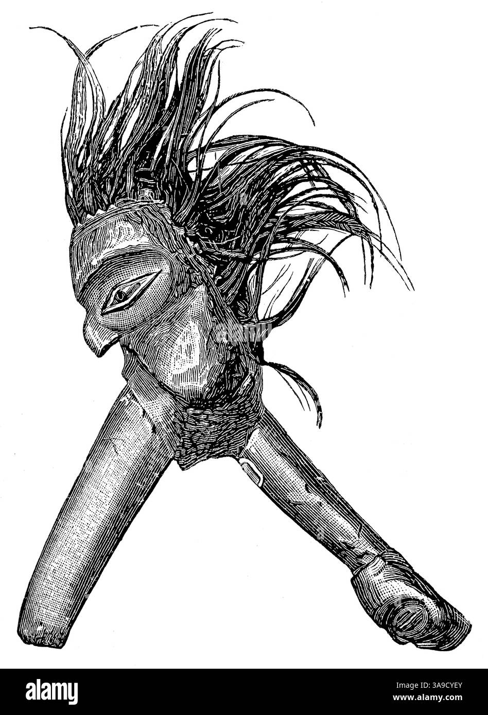 Ascia sacrificale del popolo Nootka, Canada. Artefatti d'America. Pubblicazione della "Meyers encyclopedia", Vol. 7, Lipsia, Germania, 1910. Foto Stock