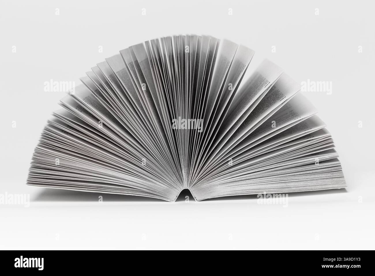 Le pagine del libro vengono spiegate a forma di ventaglio su uno sfondo chiaro. Foto Stock