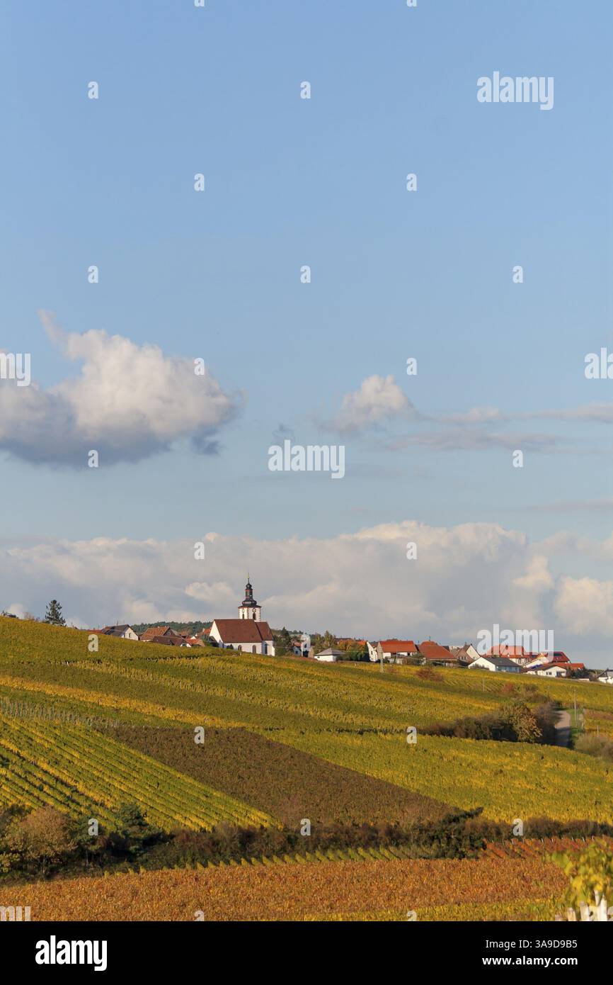 Paesaggio pittoresco con vigneti e chiesa del villaggio sotto un cielo limpido, villaggio vinicolo Weyher, Palatinato meridionale, Palatinato, Renania-Palatinato Foto Stock