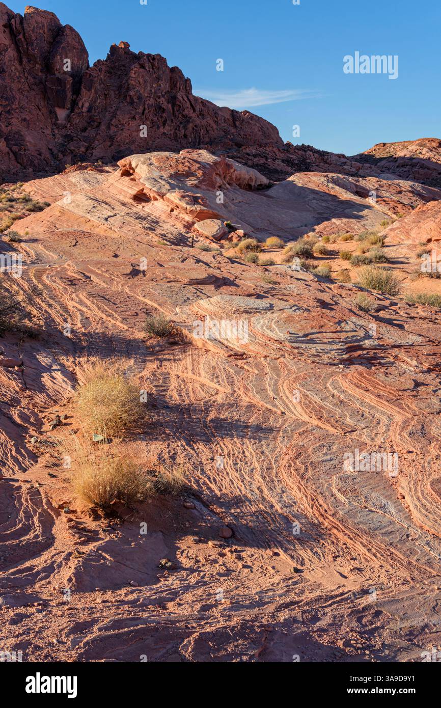 Formazioni rocciose rosse nel Valley of Fire State Park sotto la luce della sera, Nevada, Stati Uniti. Foto Stock