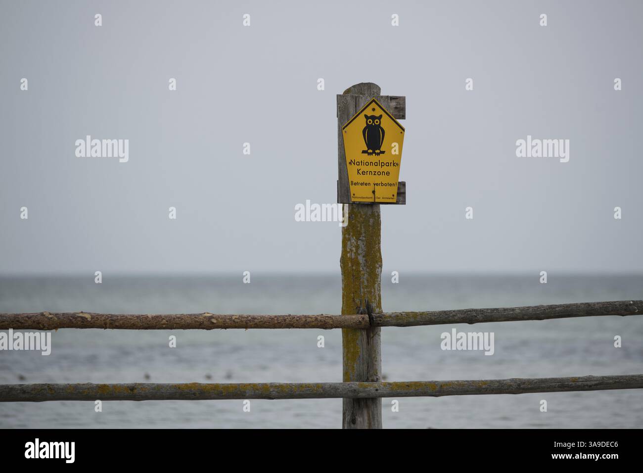 Immagine simbolica di un cartello, Parco Nazionale della zona centrale, Parco Nazionale della Laguna della Pomerania Occidentale, Meclemburgo-Pomerania Occidentale, Germania, Europa Foto Stock