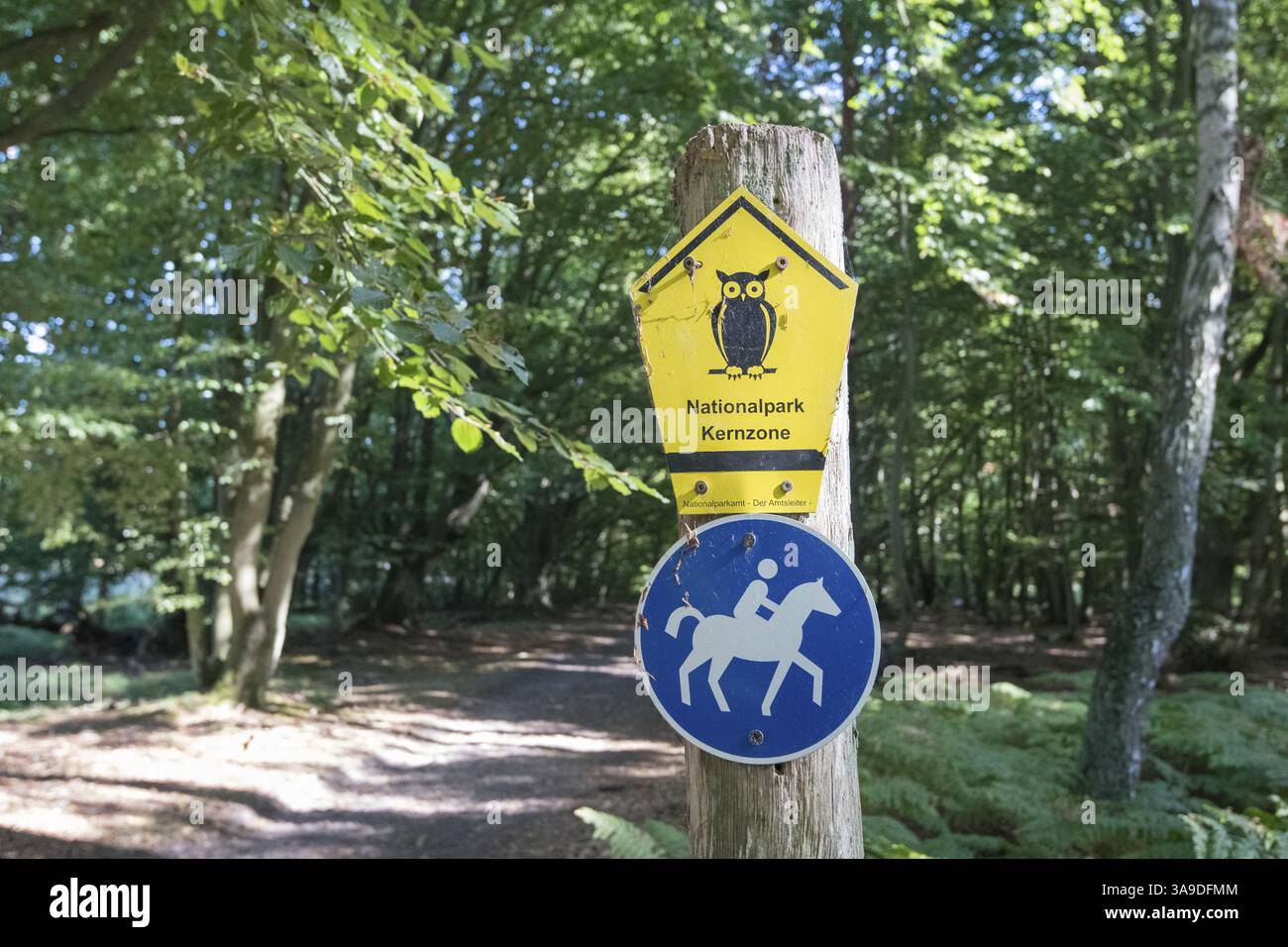 Insegna simbolica, zona centrale del Parco Nazionale, percorso delle briglie, Parco Nazionale della Laguna della Pomerania Occidentale, Meclemburgo-Pomerania Occidentale, Germania, Europa Foto Stock