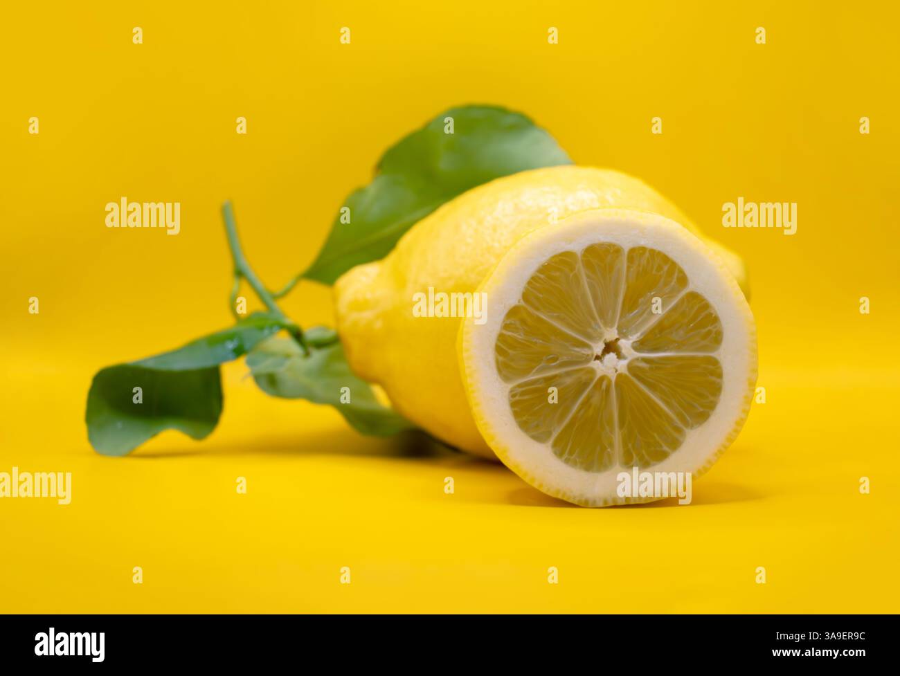 Limoni freschi con foglie verdi su un vivace sfondo giallo. Foto Stock
