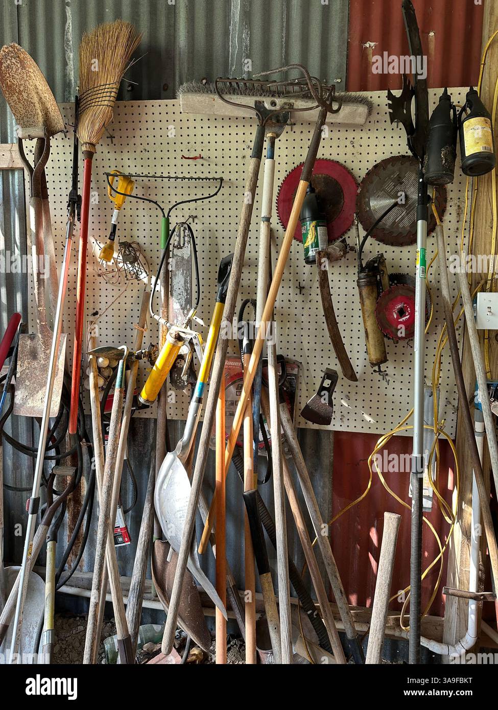 Un interno rustico con un assortimento di attrezzi da giardinaggio e fattoria, tra cui pale, rastrelli e scope, esposti su un pannello di pegboard. - Immagine stock catturata con smartphone
