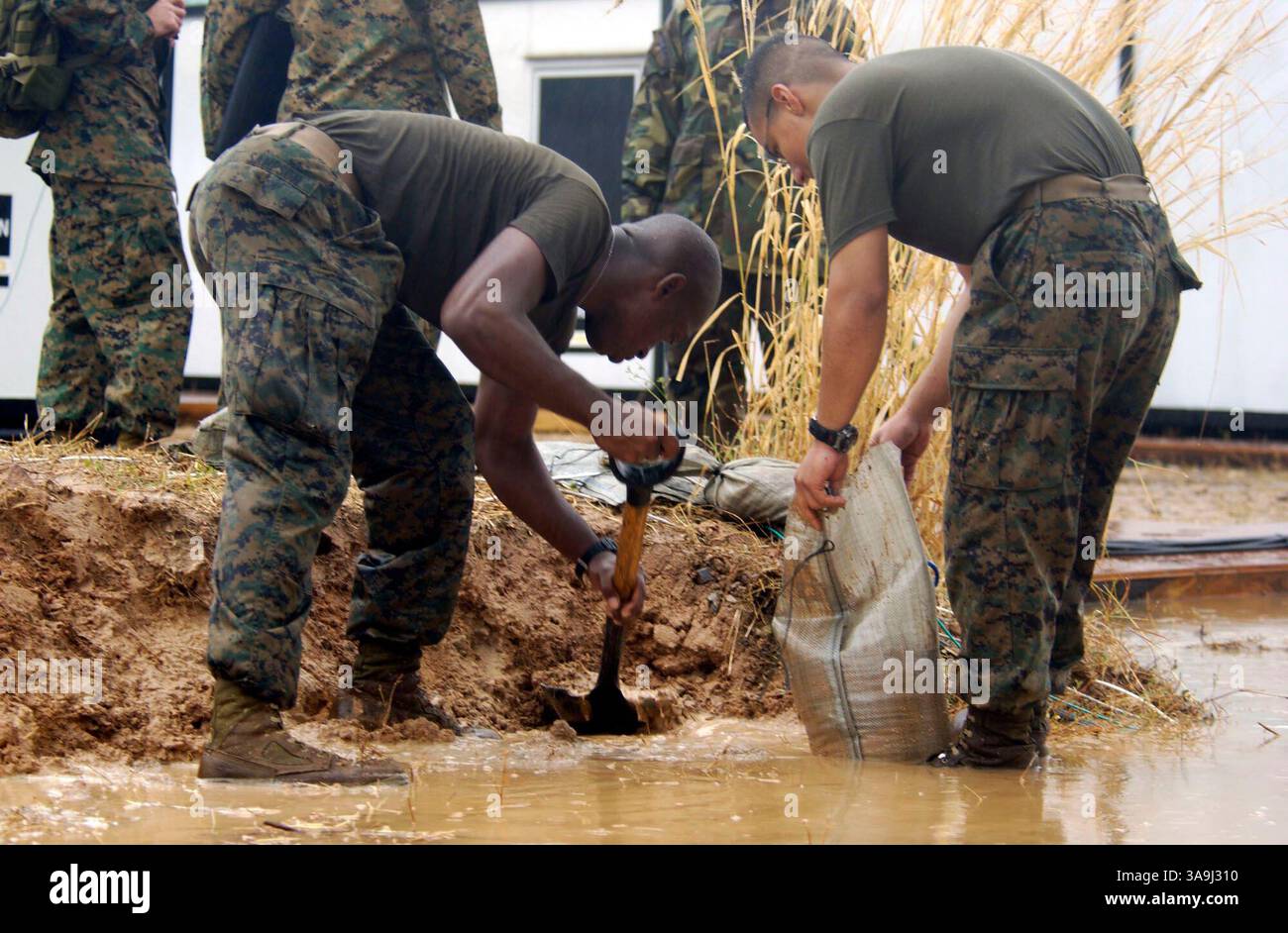 17 gennaio 2005; Utapao, Thailandia, Sud-est asiatico; Marine Corps Lance Cpl. Odell Sampson, Left, e Pvt. Xabier Oitizlolon, assegnato alla III Marine Expeditionary Force (III MEF), riempiono sacchi di sabbia per deviare l'acqua dopo forti piogge che hanno allagato alcuni dei passaggi pedonali e delle strade della base aerea reale tailandese di Utapao, Thailandia. Oltre 18.000 Marines, marinai, aviatori, soldati e guardie costiere con la Combined Support Force 536 (CSF-536) stanno collaborando con organizzazioni militari e commerciali internazionali per aiutare le persone colpite in Thailandia, Sri Lanka e Indonesia dopo un terremoto di magnitudo 9,0 scatenato a devastazione Foto Stock 17 gennaio 2005; Utapao, Thailandia, Sud-est asiatico; Marine Corps Lance Cpl. Odell Sampson, Left, e Pvt. Xabier Oitizlolon, assegnato alla III Marine Expeditionary Force (III MEF), riempiono sacchi di sabbia per deviare l'acqua dopo forti piogge che hanno allagato alcuni dei passaggi pedonali e delle strade della base aerea reale tailandese di Utapao, Thailandia. Oltre 18.000 Marines, marinai, aviatori, soldati e guardie costiere con la Combined Support Force 536 (CSF-536) stanno collaborando con organizzazioni militari e commerciali internazionali per aiutare le persone colpite in Thailandia, Sri Lanka e Indonesia dopo un terremoto di magnitudo 9,0 scatenato a devastazione Foto Stock