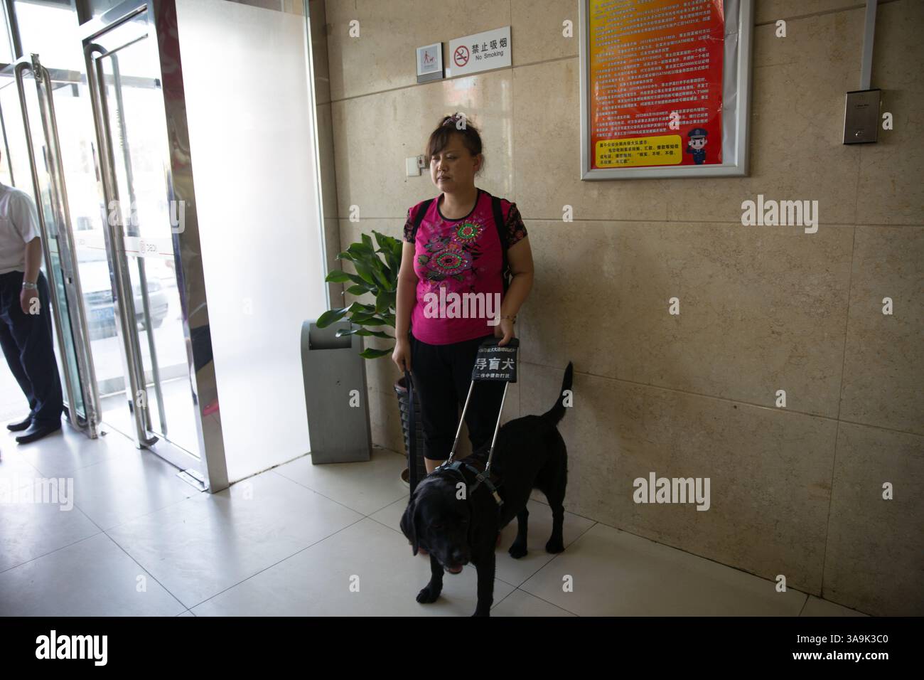 Chen e il suo cane guida Jenny arrivano in banca. Foto Stock