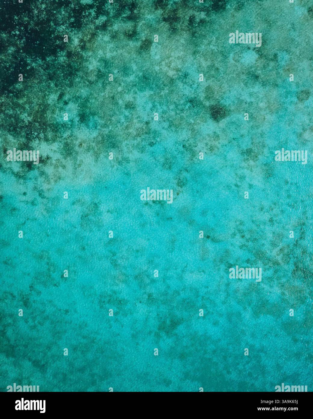 Vista aerea dell'isola di Guyam, Siargao, Una piccola e bellissima isola circondata da acque cristalline, spiagge di sabbia bianca e lussureggianti palme Foto Stock