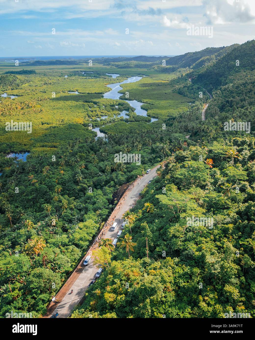 Endless Coconut Plantation of Siargao - Un meraviglioso mare di torreggianti palme che si estende attraverso l'isola, che mostra la bellezza della natura ed è Foto Stock