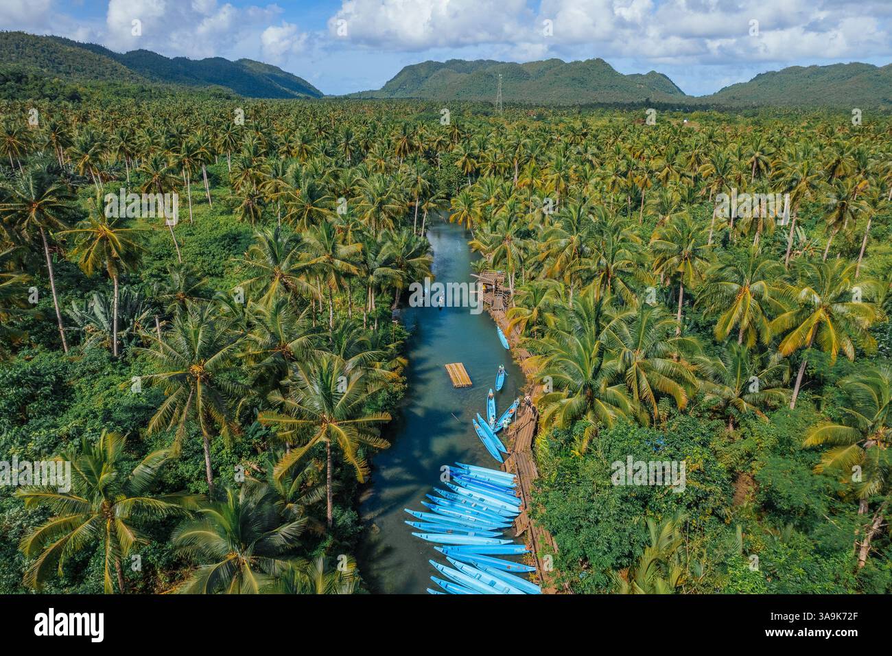 Crociera panoramica sul fiume Maasin a Siargao - Un tranquillo viaggio attraverso le lussureggianti acque costeggiate da palme, con la famosa palma Bent Palm Tree e le splendide acque tropicali Foto Stock
