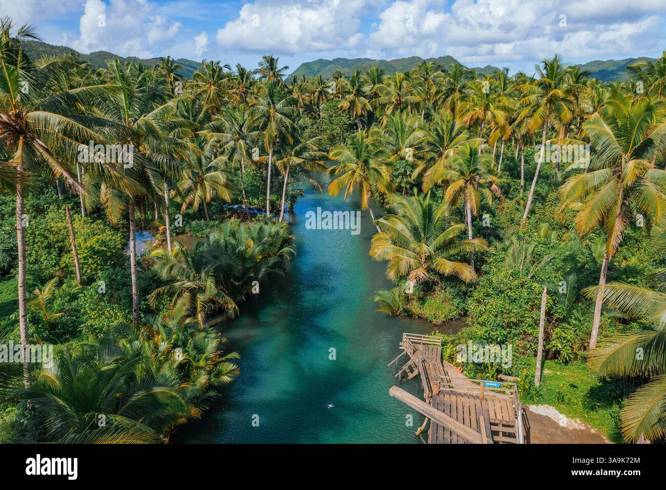 Crociera panoramica sul fiume Maasin a Siargao - Un tranquillo viaggio attraverso le lussureggianti acque costeggiate da palme, con la famosa palma Bent Palm Tree e le splendide acque tropicali Foto Stock
