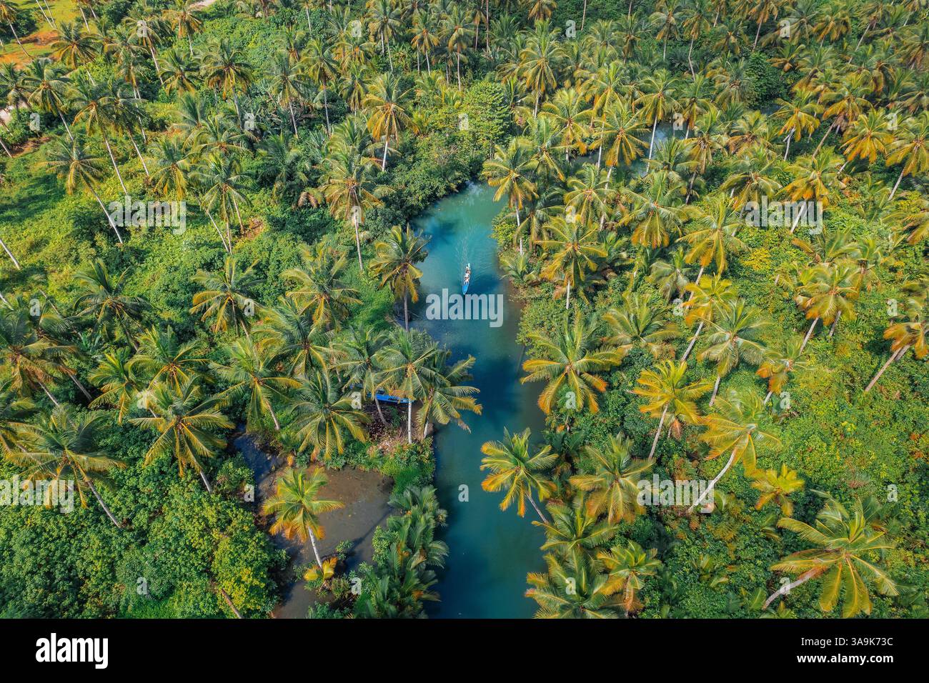 Crociera panoramica sul fiume Maasin a Siargao - Un tranquillo viaggio attraverso le lussureggianti acque costeggiate da palme, con la famosa palma Bent Palm Tree e le splendide acque tropicali Foto Stock