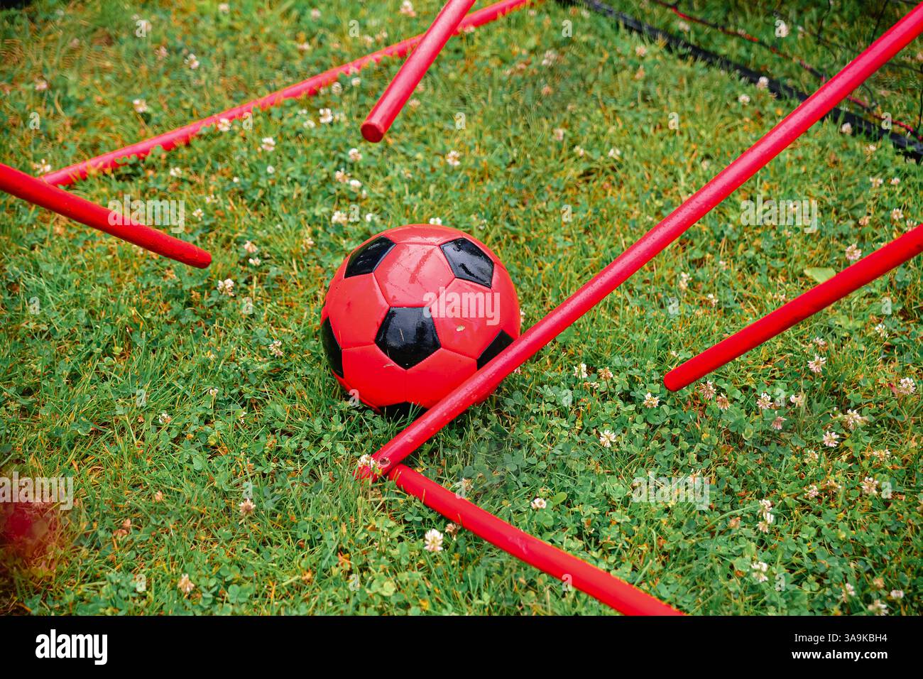 Una palla da calcio rossa e nera è intrappolata tra i pali rossi sull'erba verde, parte di una configurazione di sfida fisica all'aperto. Foto Stock