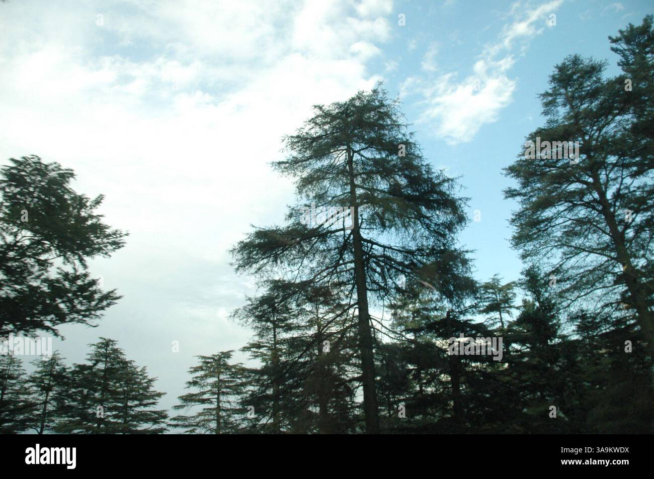 25 gennaio 2006; Kashmir, INDIA; (FOTO DEL FILE: Data esatta sconosciuta) una vista del Kashmir. La natura ha donato al Kashmir una bellezza esotica, che si riflette nei suoi paesaggi pittoreschi, nelle lussureggianti foreste verdi di Chinar, Deodar e Pini, nei bellissimi fiumi e cascate, nelle montagne innevate, negli aridi deserti freddi e in una varietà di flora e fauna squisite. India e Pakistan stanno intraprendendo un processo di pace. I due paesi sono andati in guerra due volte per il Kashmir, un territorio che entrambe le parti rivendicano. Credito obbligatorio: Foto di TC Malhotra/ZUMA Press. (©) Copyright 2006 di TC Malhotra Foto Stock