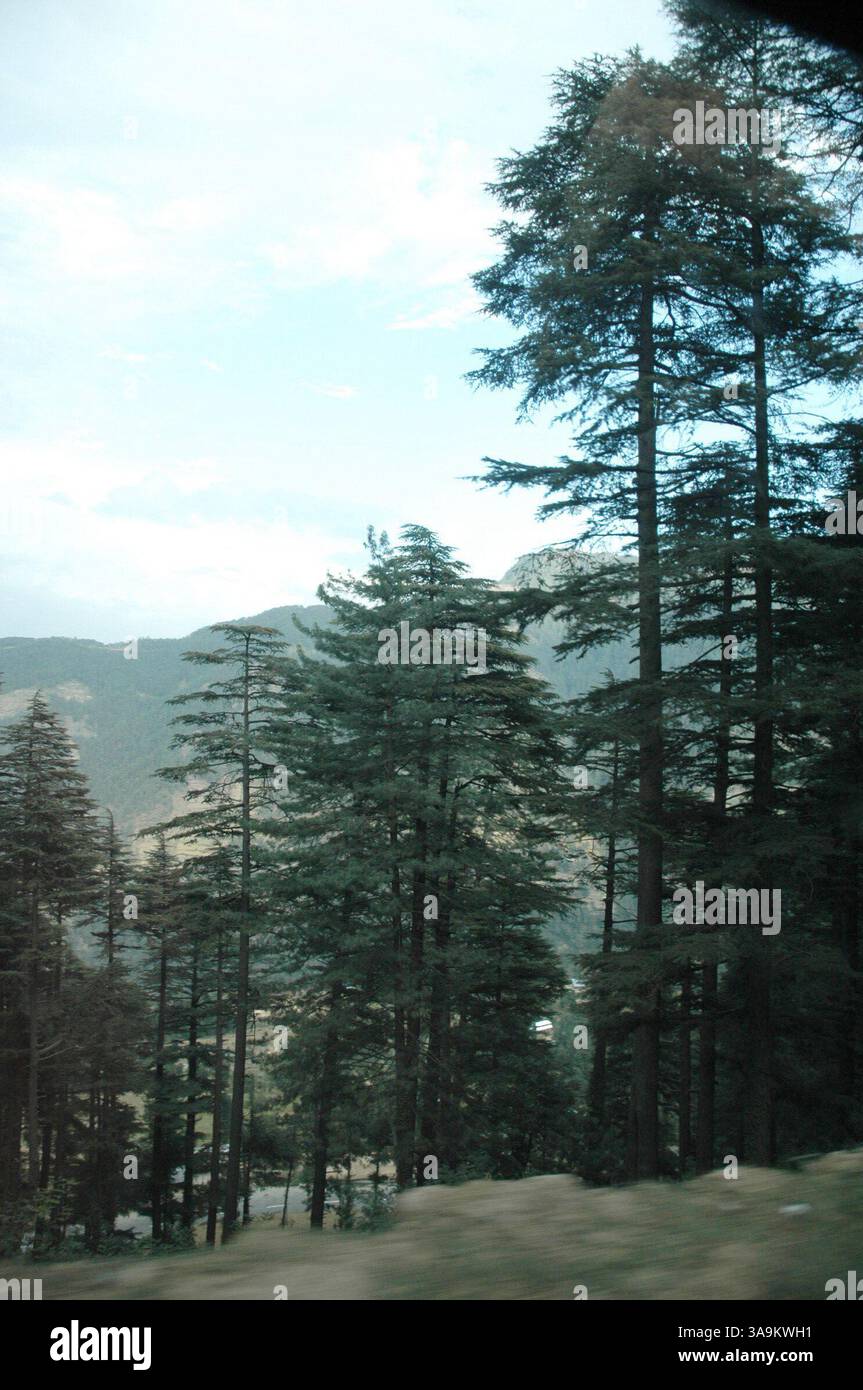 25 gennaio 2006; Kashmir, INDIA; (FOTO DEL FILE: Data esatta sconosciuta) una vista del Kashmir. La natura ha donato al Kashmir una bellezza esotica, che si riflette nei suoi paesaggi pittoreschi, nelle lussureggianti foreste verdi di Chinar, Deodar e Pini, nei bellissimi fiumi e cascate, nelle montagne innevate, negli aridi deserti freddi e in una varietà di flora e fauna squisite. India e Pakistan stanno intraprendendo un processo di pace. I due paesi sono andati in guerra due volte per il Kashmir, un territorio che entrambe le parti rivendicano. Credito obbligatorio: Foto di TC Malhotra/ZUMA Press. (©) Copyright 2006 di TC Malhotra Foto Stock