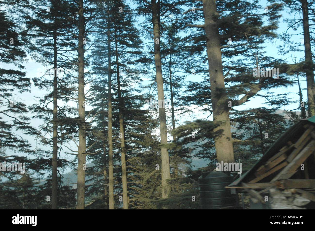 25 gennaio 2006; Kashmir, INDIA; (FOTO DEL FILE: Data esatta sconosciuta) una vista del Kashmir. La natura ha donato al Kashmir una bellezza esotica, che si riflette nei suoi paesaggi pittoreschi, nelle lussureggianti foreste verdi di Chinar, Deodar e Pini, nei bellissimi fiumi e cascate, nelle montagne innevate, negli aridi deserti freddi e in una varietà di flora e fauna squisite. India e Pakistan stanno intraprendendo un processo di pace. I due paesi sono andati in guerra due volte per il Kashmir, un territorio che entrambe le parti rivendicano. Credito obbligatorio: Foto di TC Malhotra/ZUMA Press. (©) Copyright 2006 di TC Malhotra Foto Stock