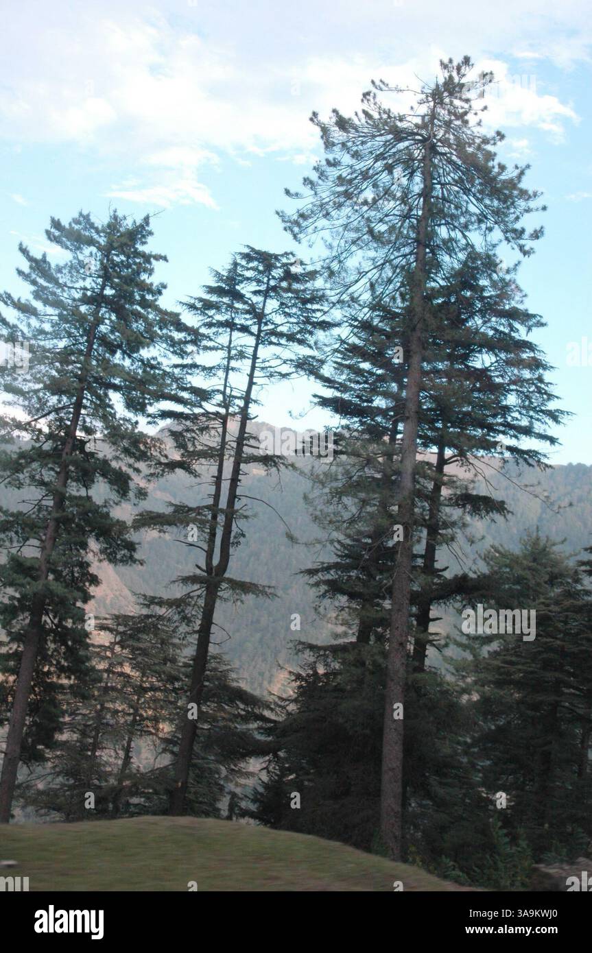 25 gennaio 2006; Kashmir, INDIA; (FOTO DEL FILE: Data esatta sconosciuta) una vista del Kashmir. La natura ha donato al Kashmir una bellezza esotica, che si riflette nei suoi paesaggi pittoreschi, nelle lussureggianti foreste verdi di Chinar, Deodar e Pini, nei bellissimi fiumi e cascate, nelle montagne innevate, negli aridi deserti freddi e in una varietà di flora e fauna squisite. India e Pakistan stanno intraprendendo un processo di pace. I due paesi sono andati in guerra due volte per il Kashmir, un territorio che entrambe le parti rivendicano. Credito obbligatorio: Foto di TC Malhotra/ZUMA Press. (©) Copyright 2006 di TC Malhotra Foto Stock