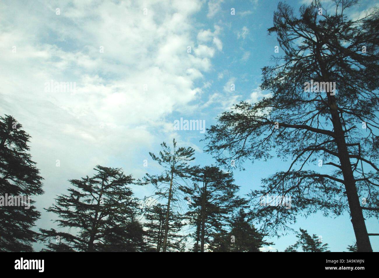 25 gennaio 2006; Kashmir, INDIA; (FOTO DEL FILE: Data esatta sconosciuta) una vista del Kashmir. La natura ha donato al Kashmir una bellezza esotica, che si riflette nei suoi paesaggi pittoreschi, nelle lussureggianti foreste verdi di Chinar, Deodar e Pini, nei bellissimi fiumi e cascate, nelle montagne innevate, negli aridi deserti freddi e in una varietà di flora e fauna squisite. India e Pakistan stanno intraprendendo un processo di pace. I due paesi sono andati in guerra due volte per il Kashmir, un territorio che entrambe le parti rivendicano. Credito obbligatorio: Foto di TC Malhotra/ZUMA Press. (©) Copyright 2006 di TC Malhotra Foto Stock