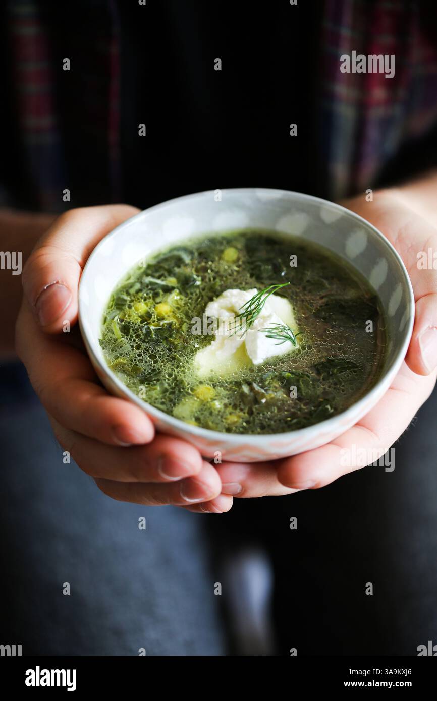 Ciorbă di spinaci primaverili rumena servita in una ciotola e tenuta tra le mani. Zuppa tradizionale dell'Europa orientale a base di spinaci novelli, cipollotti e aneto. Foto Stock