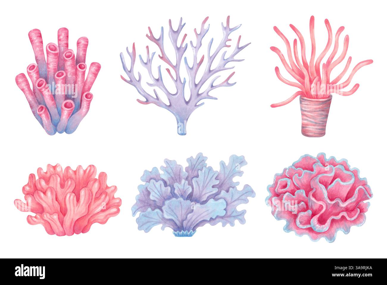 Coralli marini. Colorate barriere coralline oceaniche. Illustrazioni di acquerelli e pennarelli. Disegno isolato disegnato a mano. Animale sottomarino del fondale marino per la camera dei bambini, s Foto Stock