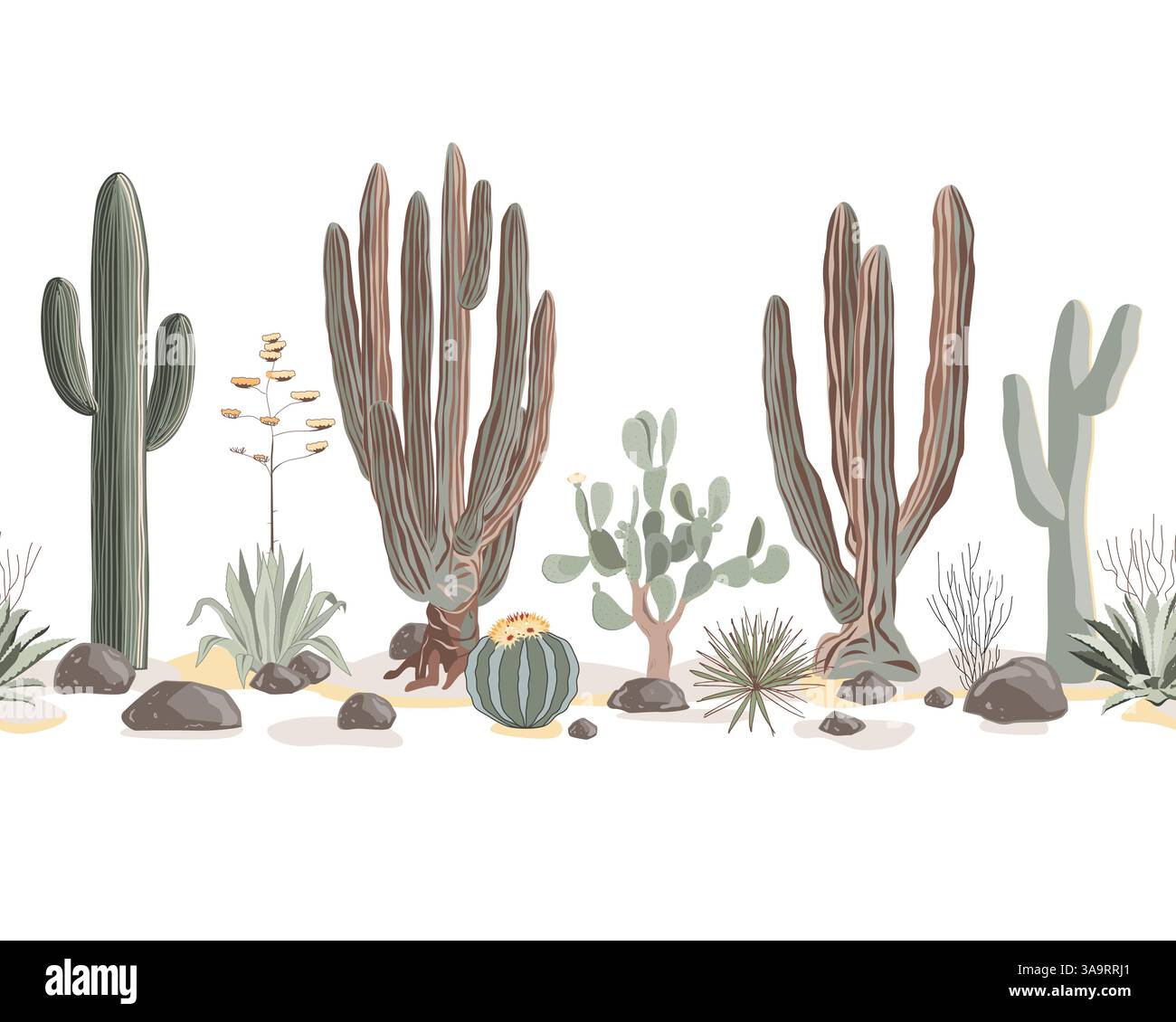 Cactus e succulenti senza confini. cardon gigante, cactus Saguaro e agavi senza cuciture. Sfondo orizzontale cactus, illustrazione vettoriale Illustrazione Vettoriale