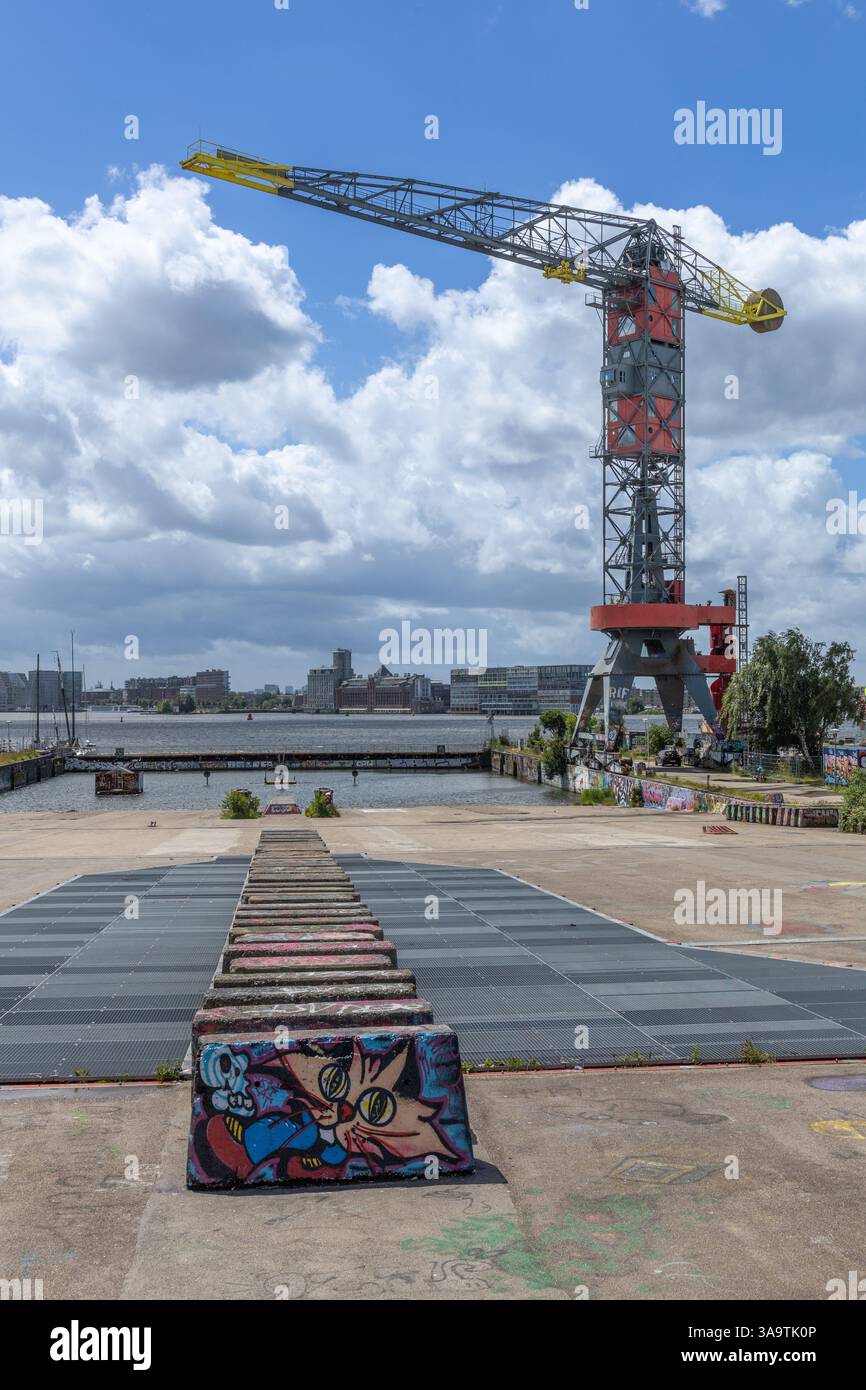 NDSM gru . Il vecchio cantiere navale NDSM, in disuso, a nord di Amsterdam, nei Paesi Bassi, è ora uno spazio creativo. Foto Stock