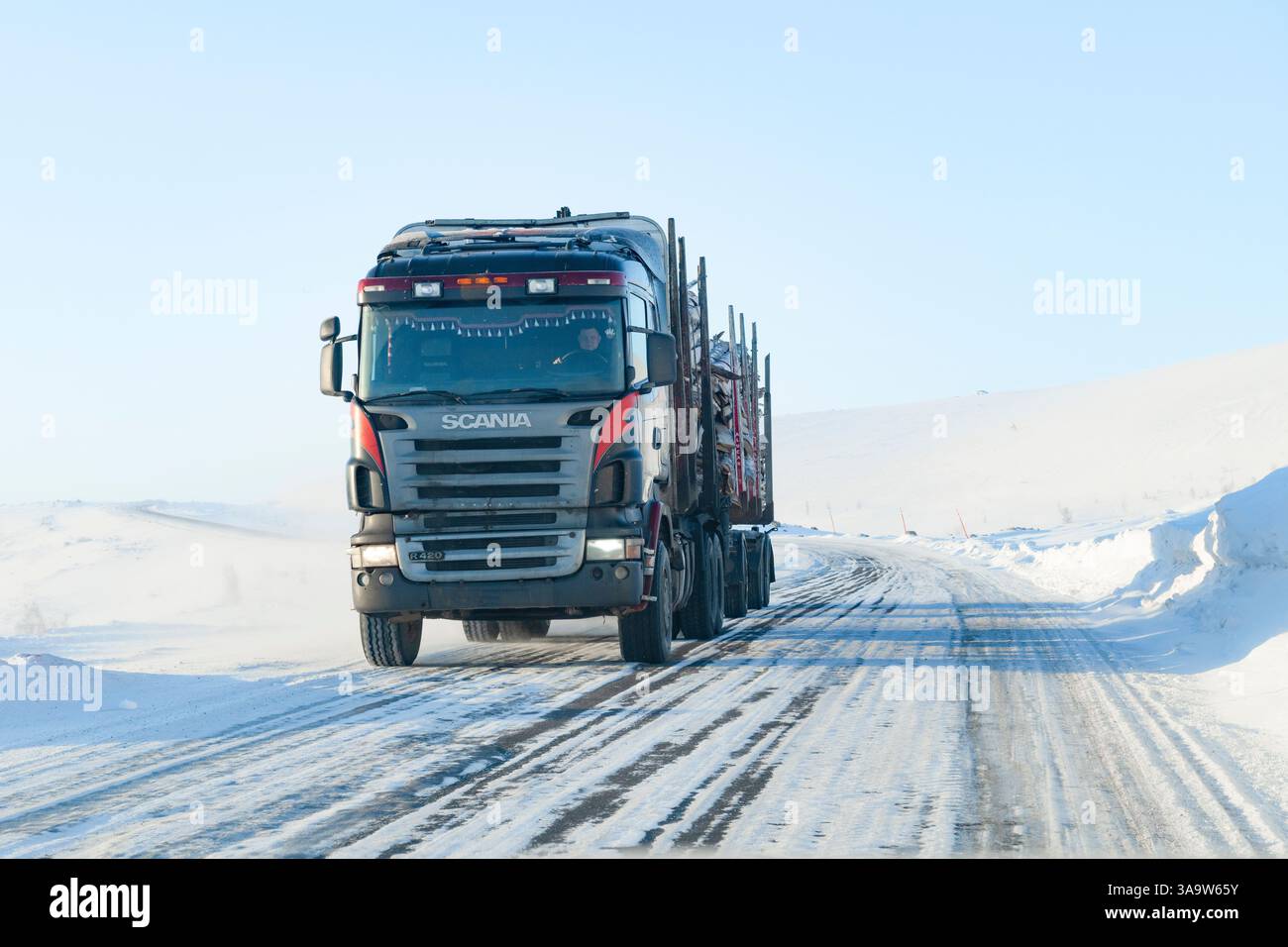 REGIONE DI MURMANSK, RUSSIA - 14 MARZO 2025: Camion per legname Scania su una strada invernale in una giornata di sole. Autostrada Serebryanskoye Foto Stock