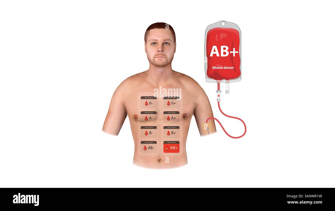 Infografica medica 3D di un donatore AB positivo, che mostra i dettagli delle trasfusioni, le proprietà universali del ricevente e una tabella di compatibilità dei tipi di sangue, 3 Foto Stock
