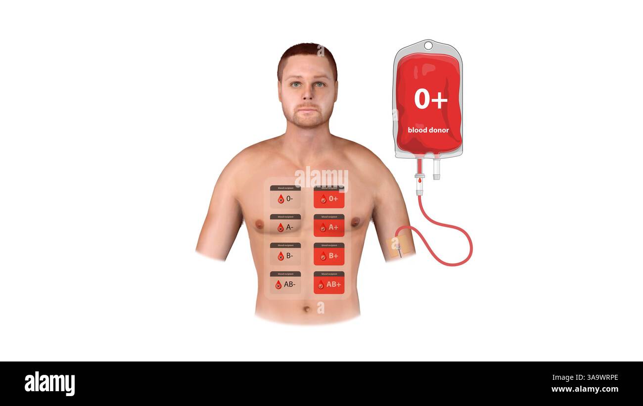 Un'illustrazione medica di un donatore o positivo, che mostra il processo trasfusionale, la compatibilità con il ricevente e un grafico completo del tipo di sangue, 3d. Foto Stock