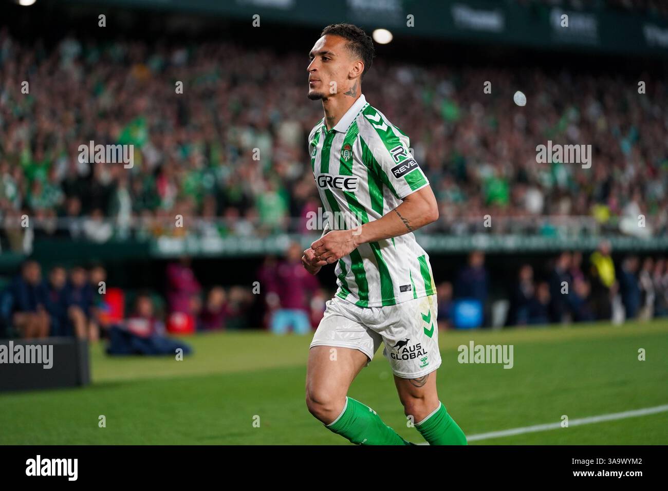 Antony dos Santos (Real Betis) durante la partita di LaLiga tra Real Betis e Sevilla FC, al Benito Villamarin il 29 marzo 2025 a Siviglia, Spagna Foto Stock
