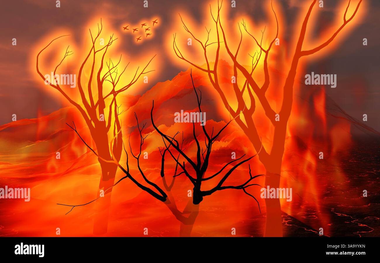 Alberi di fuoco Foto Stock