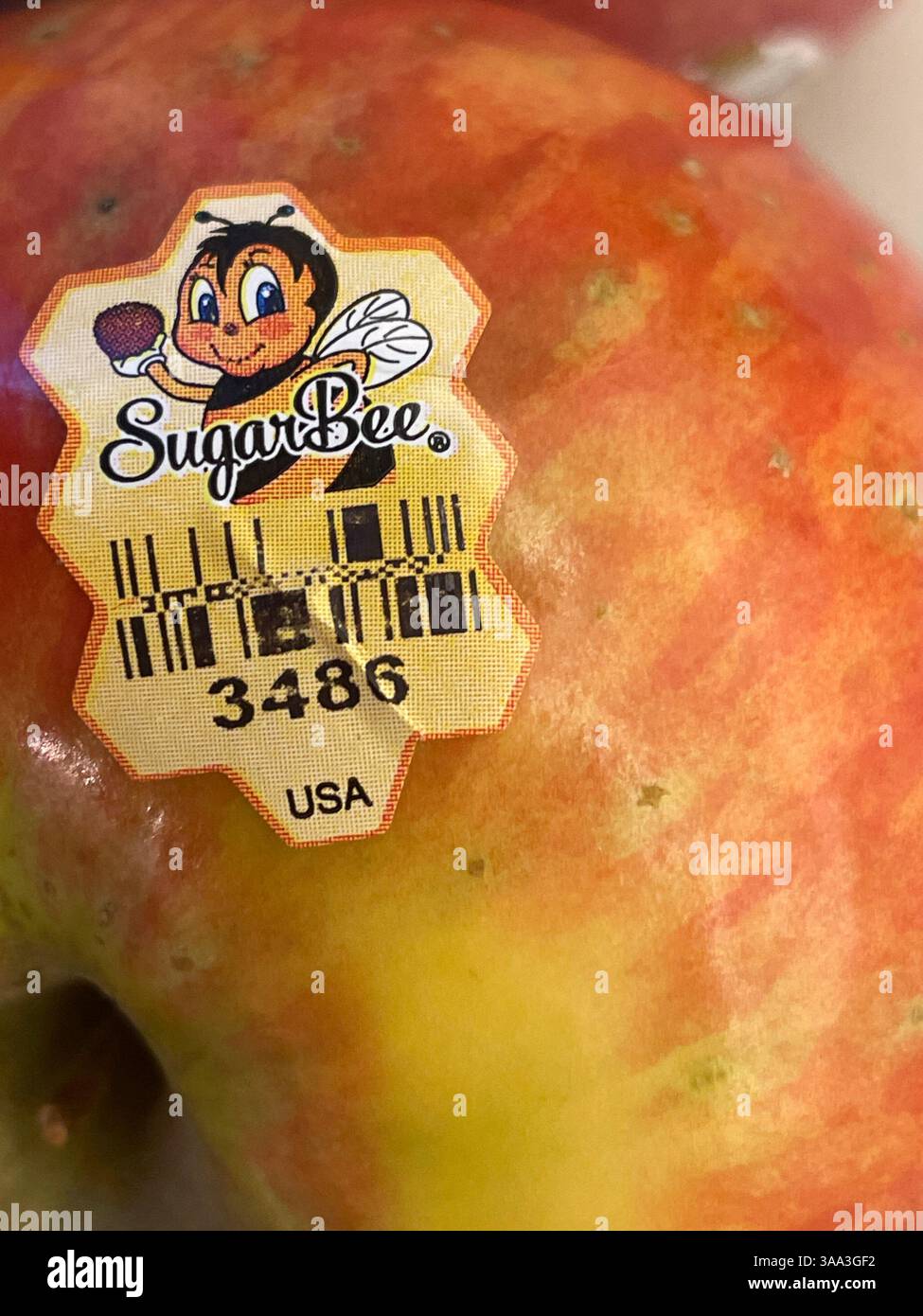Primo piano di Sugar Bee Ripe Red Apple, 2025, USA - Immagine stock catturata con smartphone